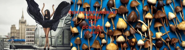 гашиш Бугульма