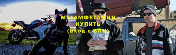 крисы Бородино