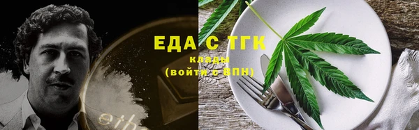 крисы Бородино