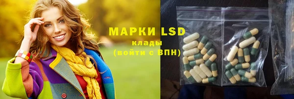 крисы Бородино