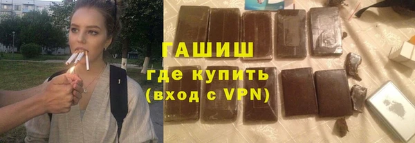 крисы Бородино