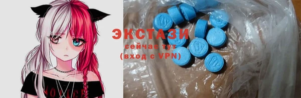 крисы Бородино