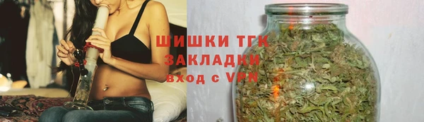 крисы Бородино