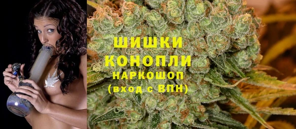шишки Ветлуга