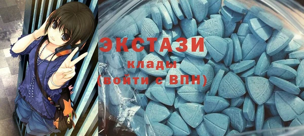 крисы Бородино