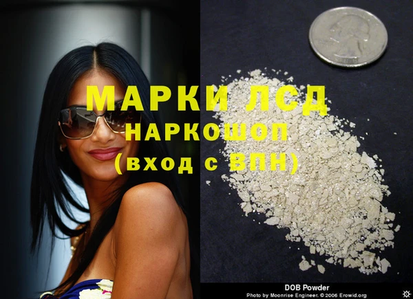 крисы Бородино