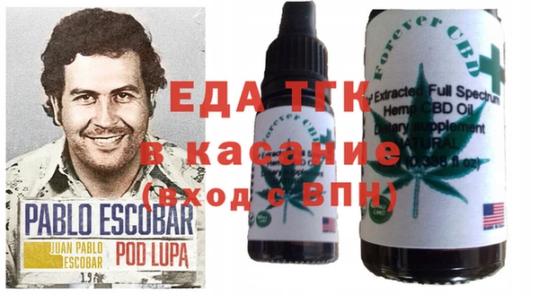 крисы Бородино