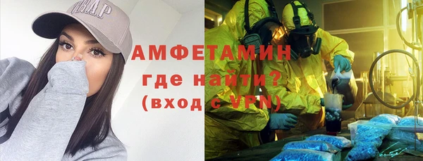 крисы Бородино