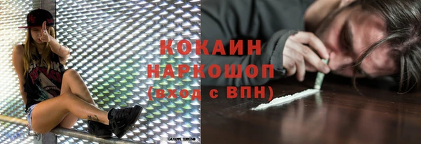 крисы Бородино