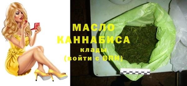 крисы Бородино